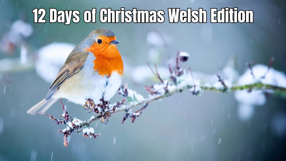 Robin in a snowy winter scene for the Welsh Twelve Days of Christmas.