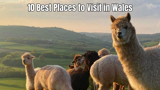 Scenic Welsh destinations featured in a guide to places to visit in Wales.