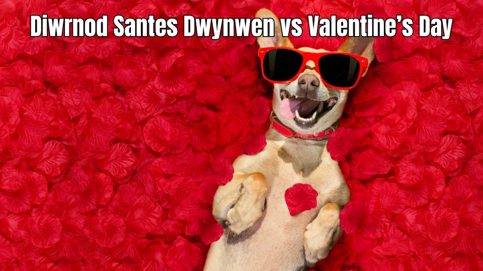 Welsh love spoons and romantic symbols for Diwrnod Santes Dwynwen