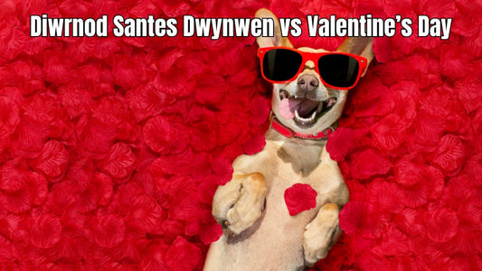 Welsh love spoons and romantic symbols for Diwrnod Santes Dwynwen