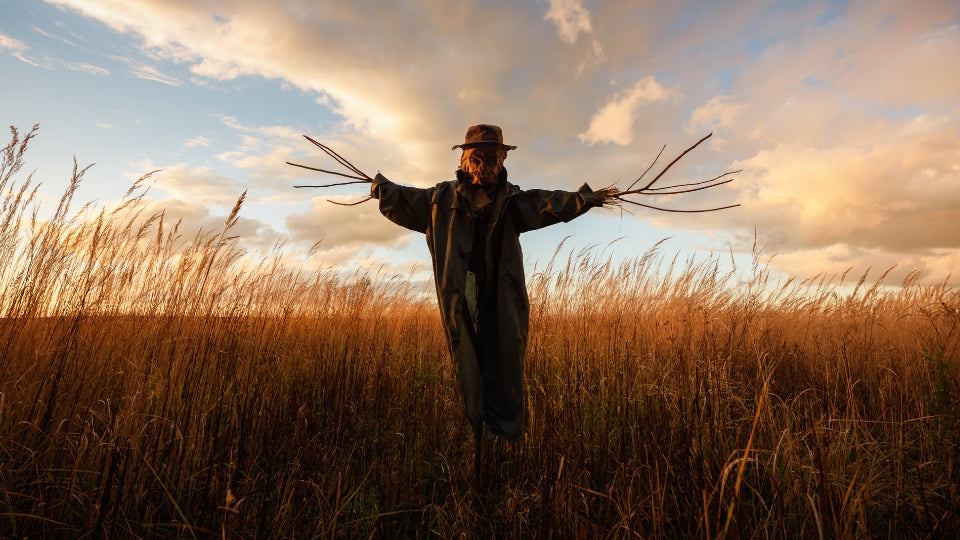A scarecrow representing the Welsh phrase bwgan brain.