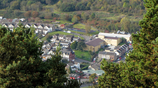View across Aberfan framed by trees, with houses and community buildings in the valley