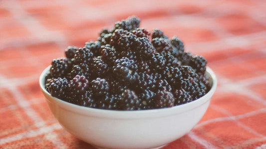 A white bowl filled with ripe blackberries