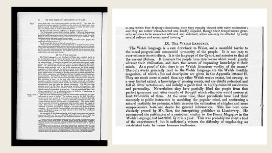Blue Books report page headed Evils of the Welsh Language