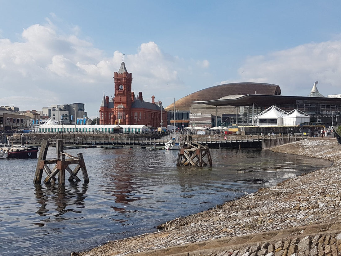 Families walking across the National Eisteddfod Maes in Cardiff Bay