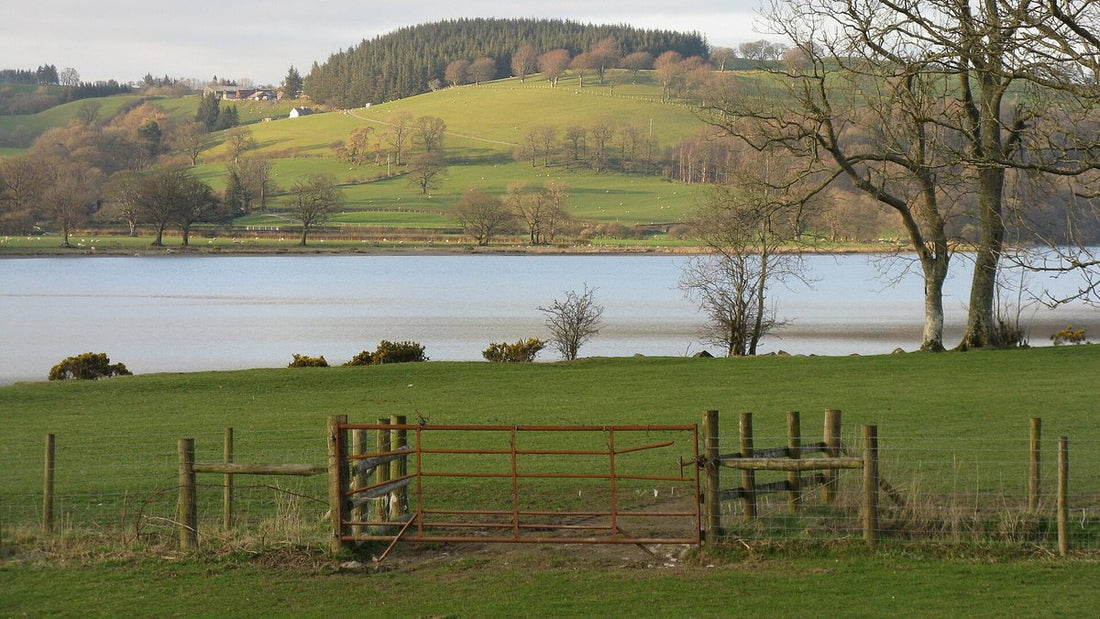 Llyn Tegid stretching between the hills near Bala
