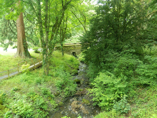 Rock Park in Llandrindod Wells with mature trees, paths and spa buildings