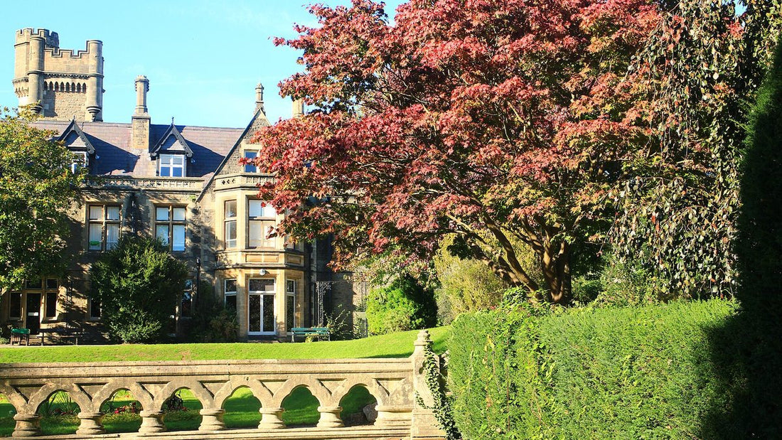 Early autumn leaves beside Insole Court in Llandaff, Cardiff