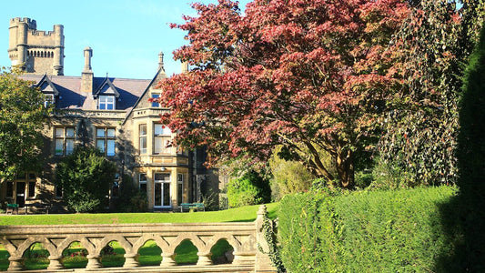 Early autumn leaves beside Insole Court in Llandaff, Cardiff