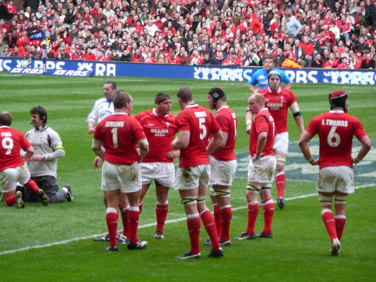 Wales rugby union team at the Millennium Stadium during the 2008 Six Nations