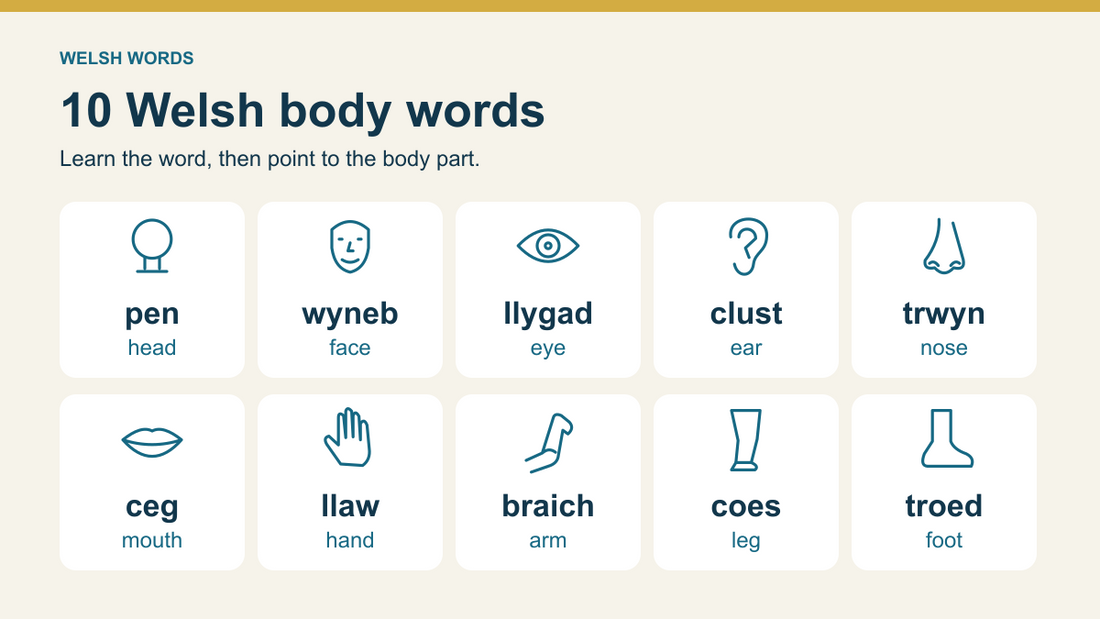 Labelled body-part icons: pen head, wyneb face, llygad eye, clust ear, trwyn nose, ceg mouth, llaw hand, braich arm, coes leg and troed foot