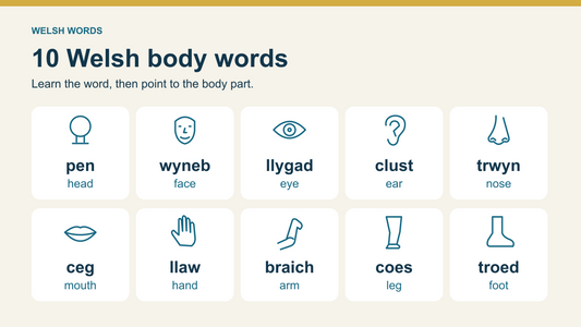 Labelled body-part icons: pen head, wyneb face, llygad eye, clust ear, trwyn nose, ceg mouth, llaw hand, braich arm, coes leg and troed foot
