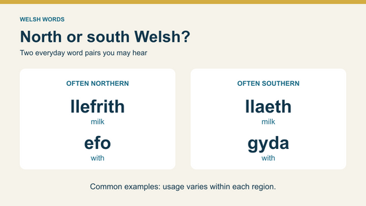 Two common Welsh vocabulary pairs: northern llefrith and southern llaeth for milk; northern efo and southern gyda for with; usage varies within each region