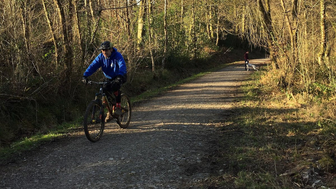 Cyclist and dog walker using a woodland route at Rudry in south Wales