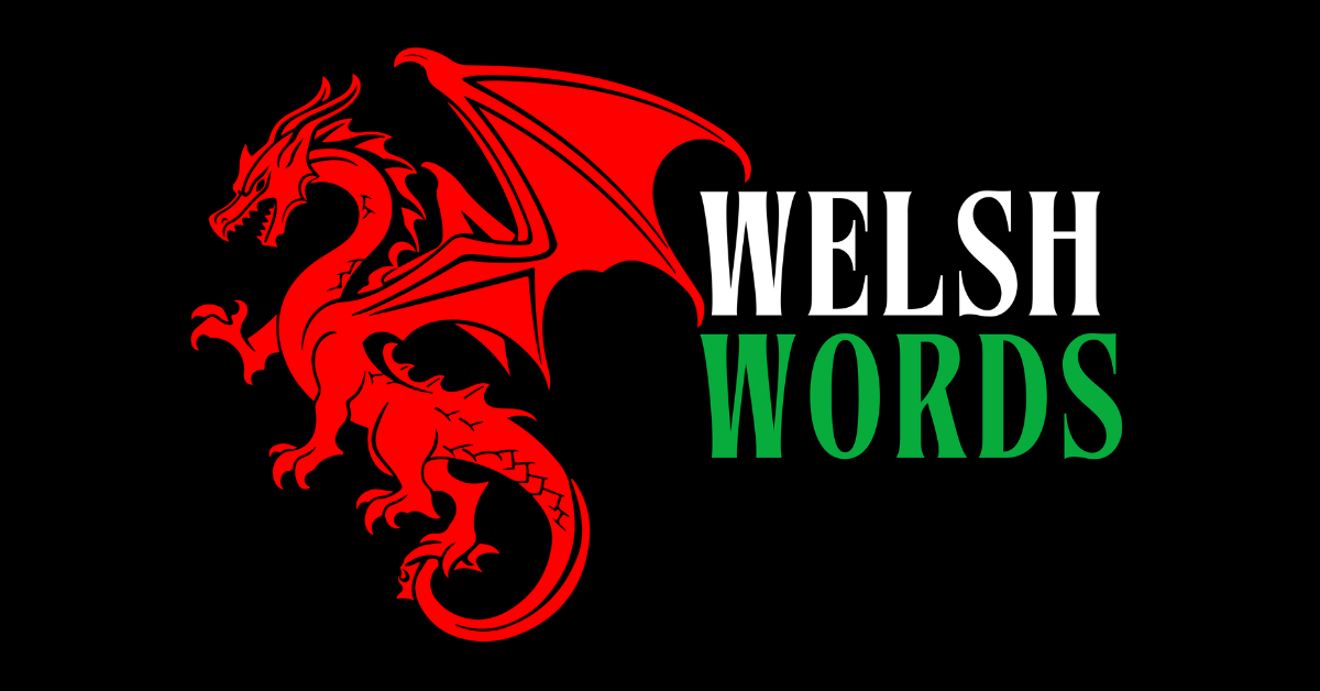 Learn Welsh Phrases | Quick Guide to Welsh for Beginners – Welsh Words