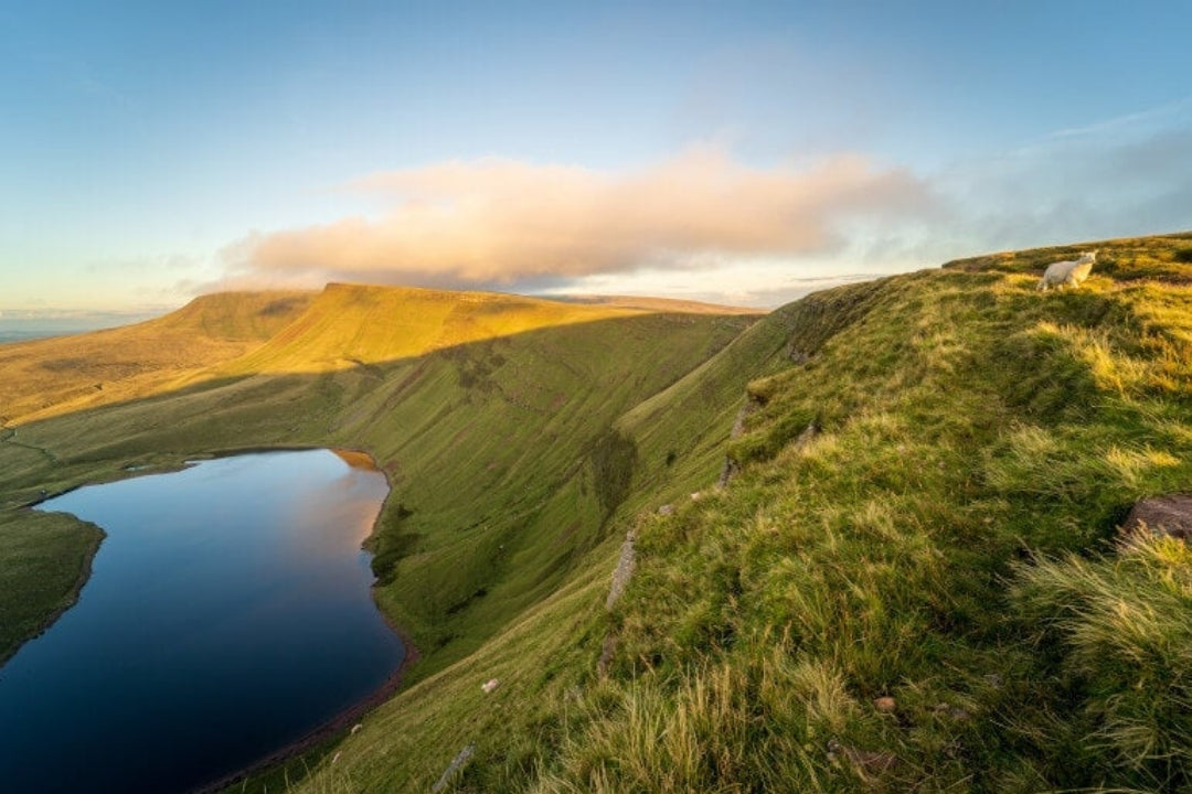 Online Welsh Language Lessons